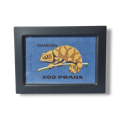 Photoroom-20241021_012427_31.png